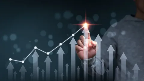 How Digital Growth Strategies Help Australian Businesses Scale Online