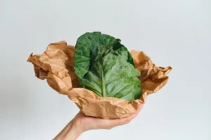 Best Tongkat Ali Supplement in Australia: How to Judge Extract Quality